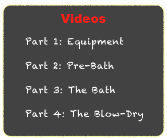Videos
    Part 1: Equipment
    Part 2: Pre-Bath
    Part 3: The Bath
    Part 4: The Blow-Dry 