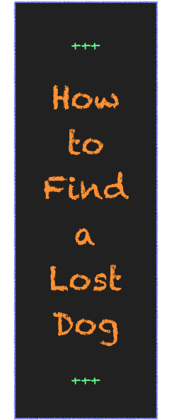 




+++




How 
to 
Find
a
Lost
Dog




+++


