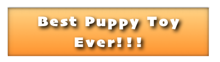 Best Puppy Toy
Ever!!!